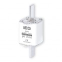 Cartucho fus NH T02  250A gL-gG